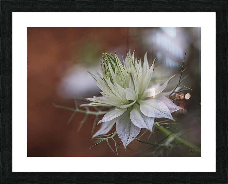  85A4807 Picture Frame print