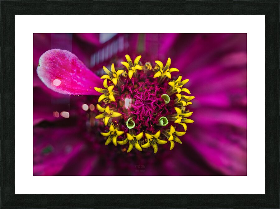  85A4811 Picture Frame print
