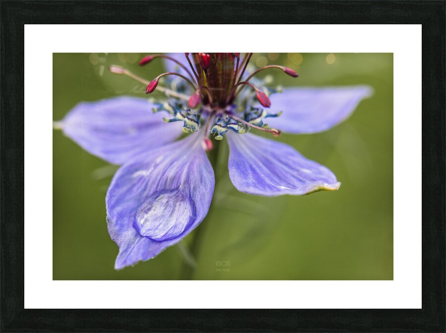  85A4826 Picture Frame print