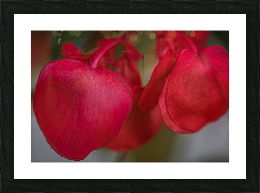  85A4857 Picture Frame print