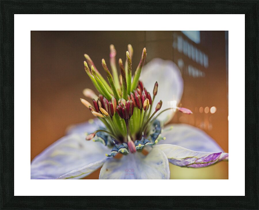  85A4843 Picture Frame print