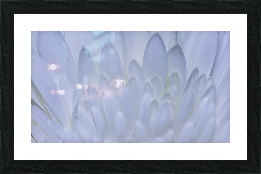  85A5907 Picture Frame print