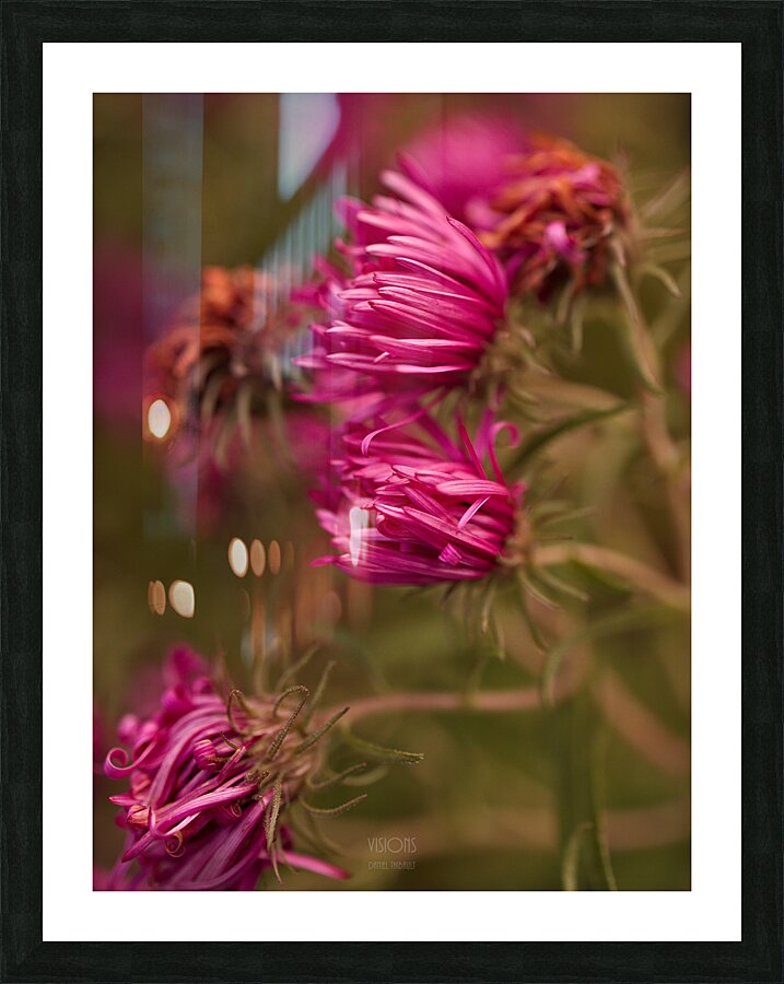  Q8A0587 Picture Frame print