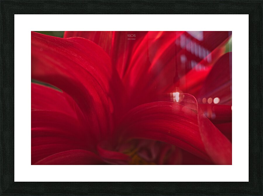 1Q8A0090 Picture Frame print