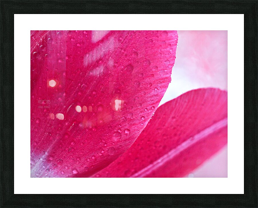 1Q8A7505 Picture Frame print
