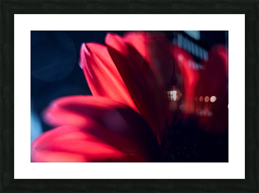044A0506 Picture Frame print