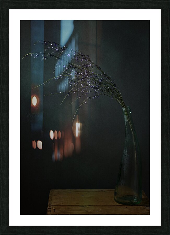 1Q8A7526 Picture Frame print