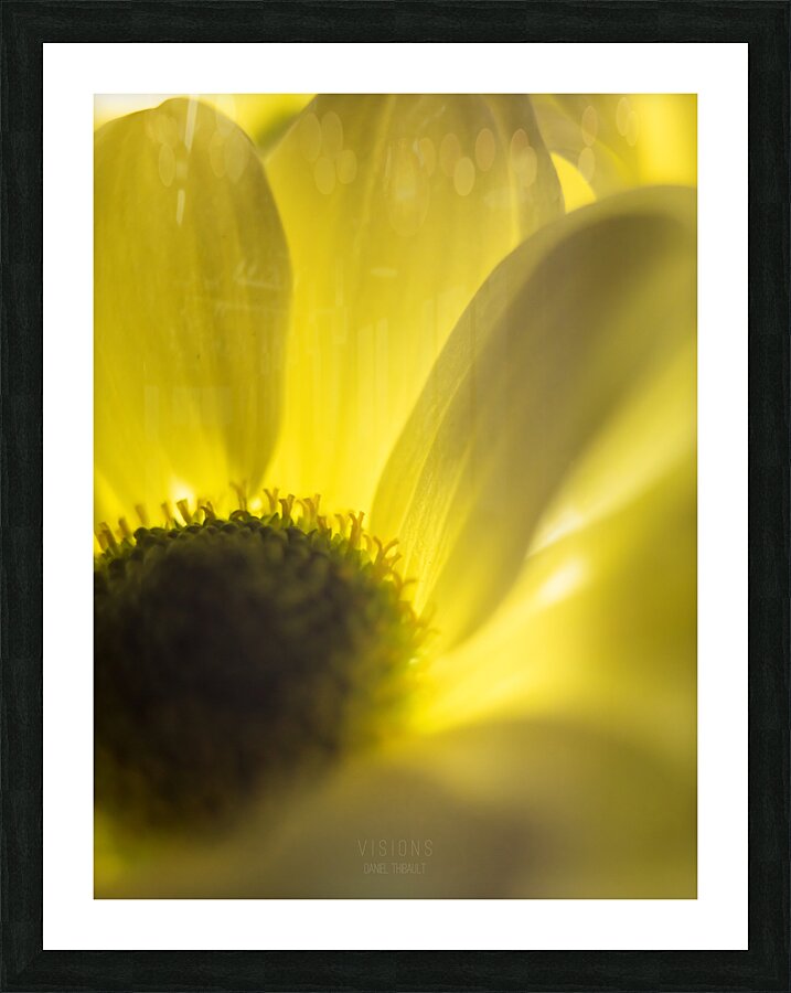 044A0526 Picture Frame print