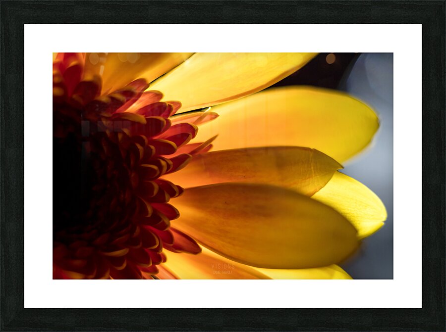 044A0508 Picture Frame print