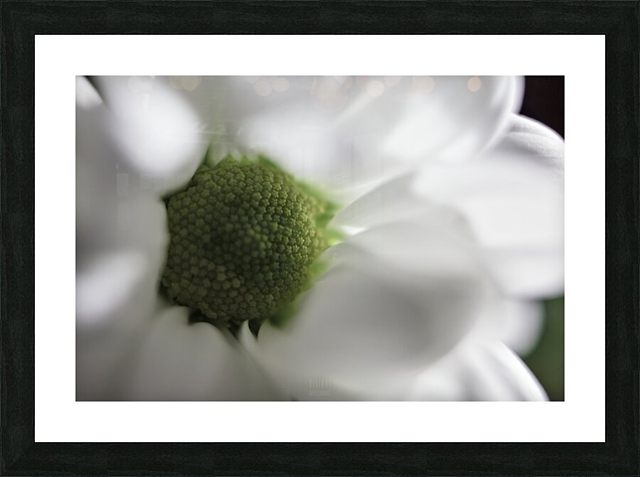 044A0531 2 Picture Frame print