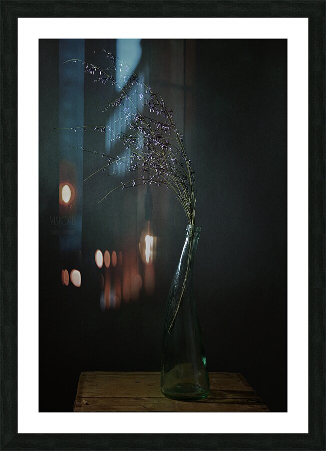 1Q8A7525 Picture Frame print