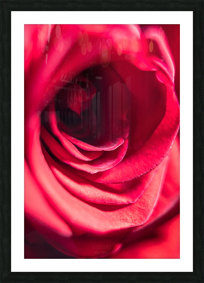 044A0522 Picture Frame print