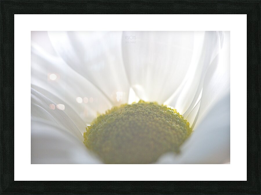 1Q8A1013 Picture Frame print