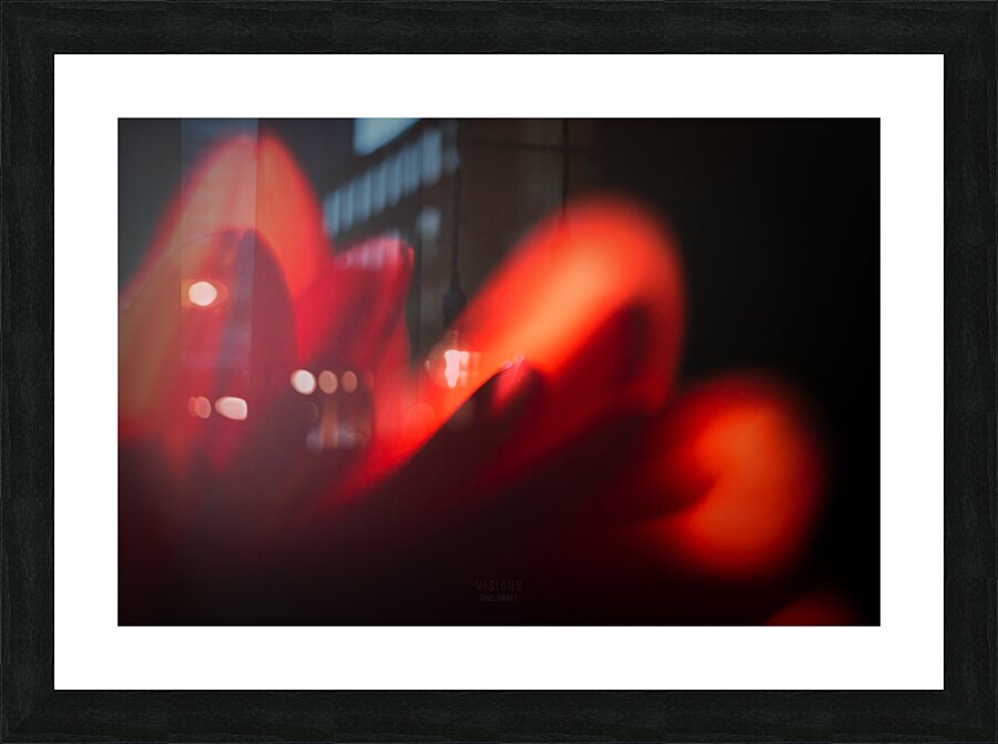 044A0503 Picture Frame print