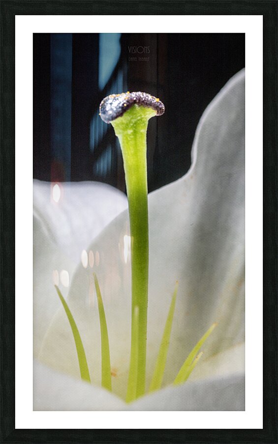 044A0746 Picture Frame print