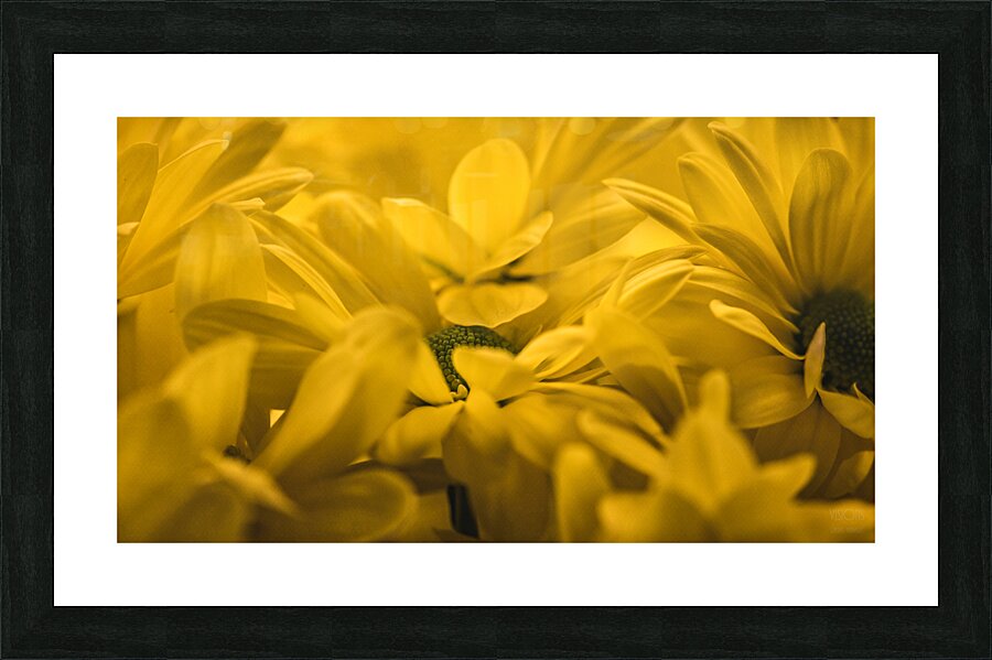 044A0938 Picture Frame print