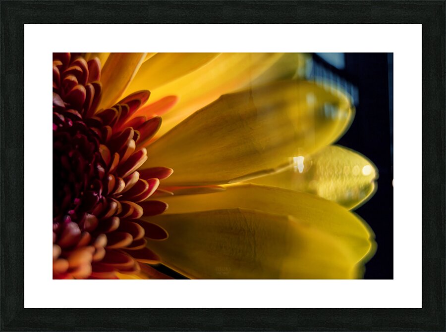044A0542 Picture Frame print