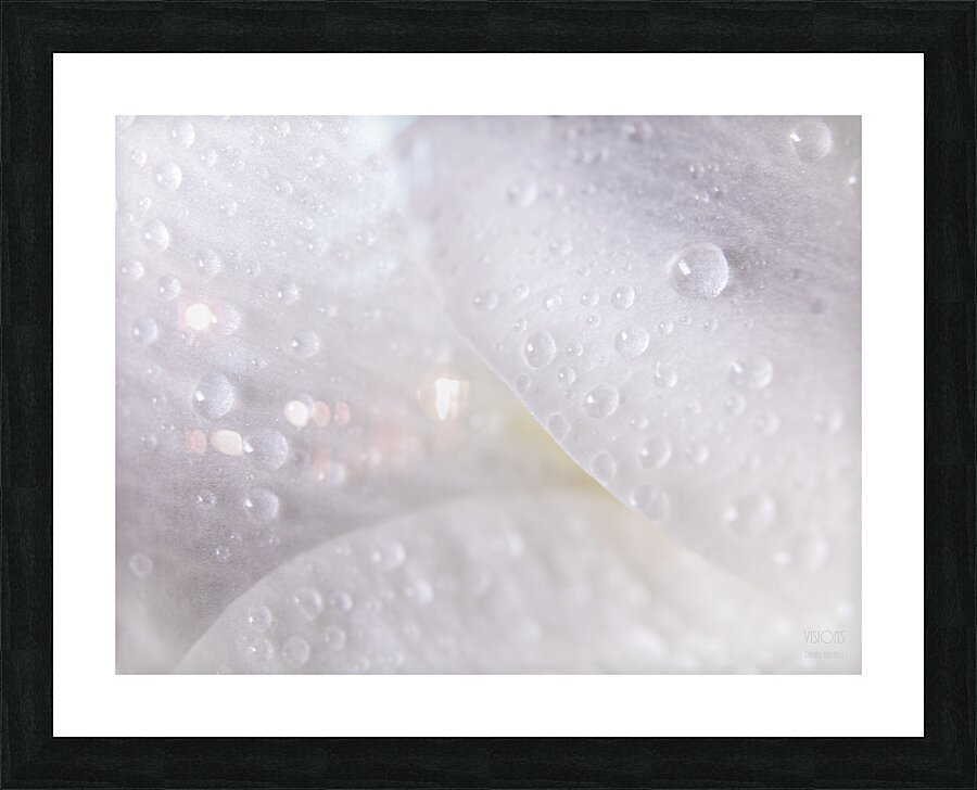 044A1435 Picture Frame print