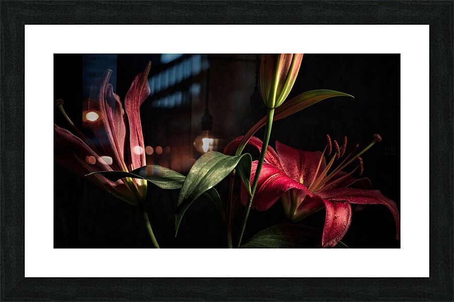 044A2996 Picture Frame print