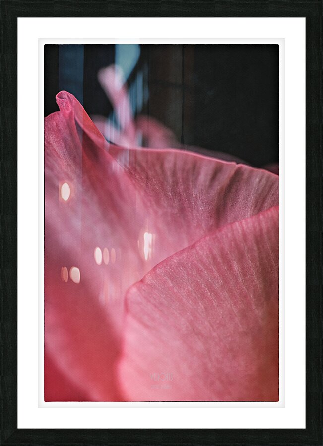 044A1325  Picture Frame print