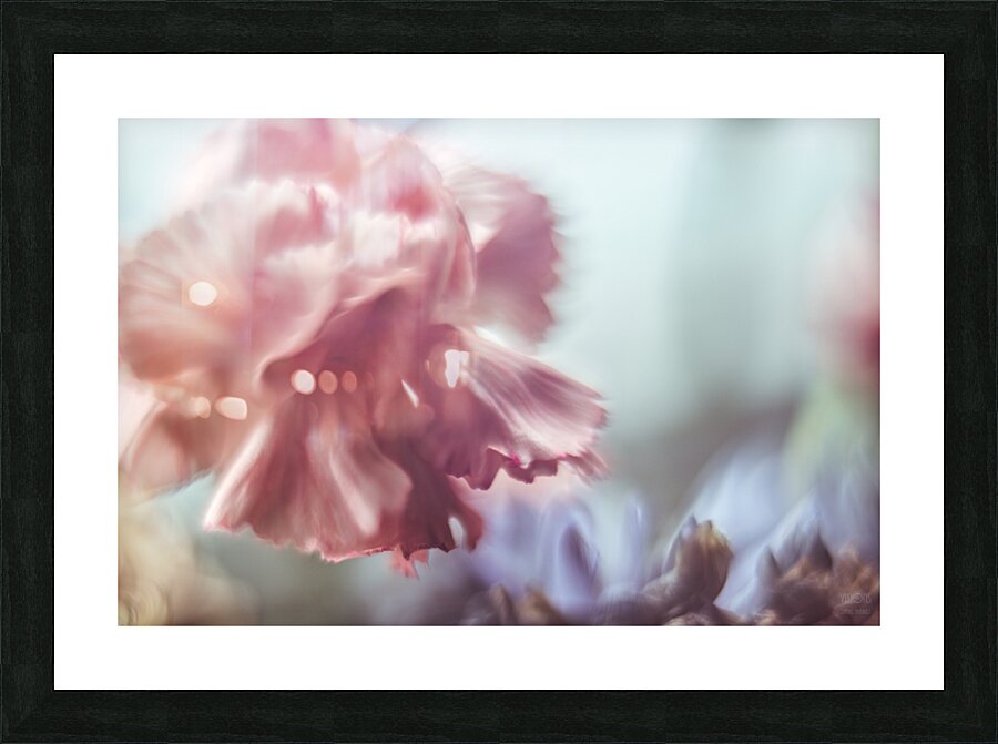 044A1686 Picture Frame print