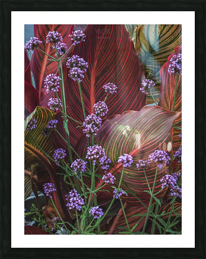 044A9060 Picture Frame print