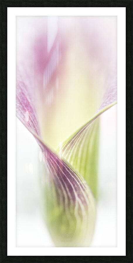 044A3506 Picture Frame print