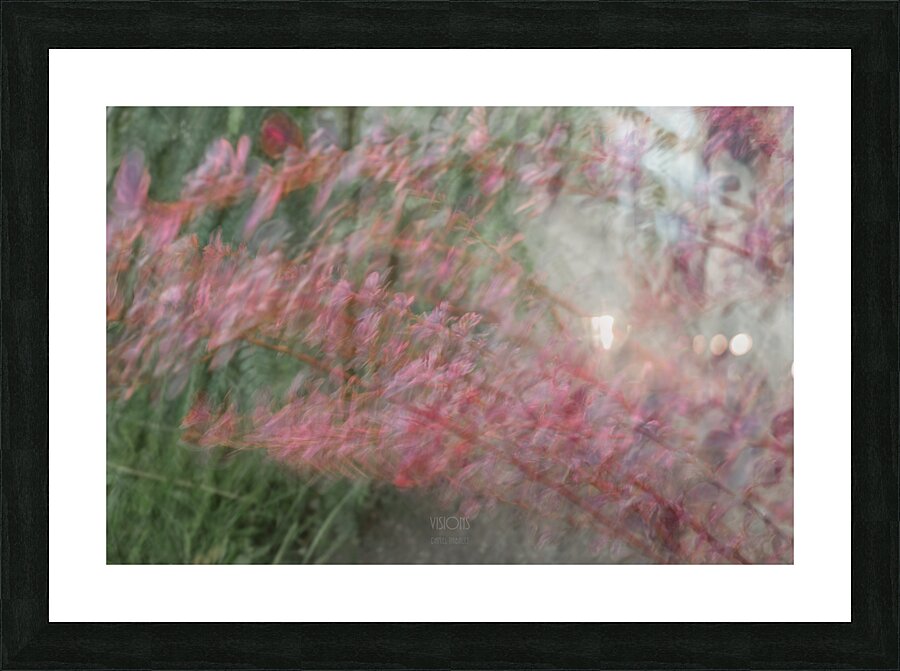 044A9012 Picture Frame print