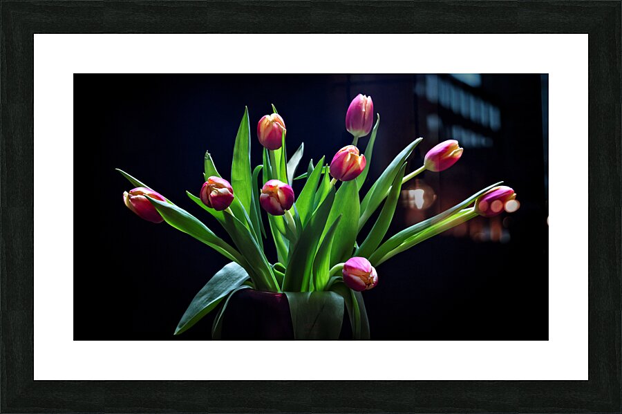 044A4818 Picture Frame print