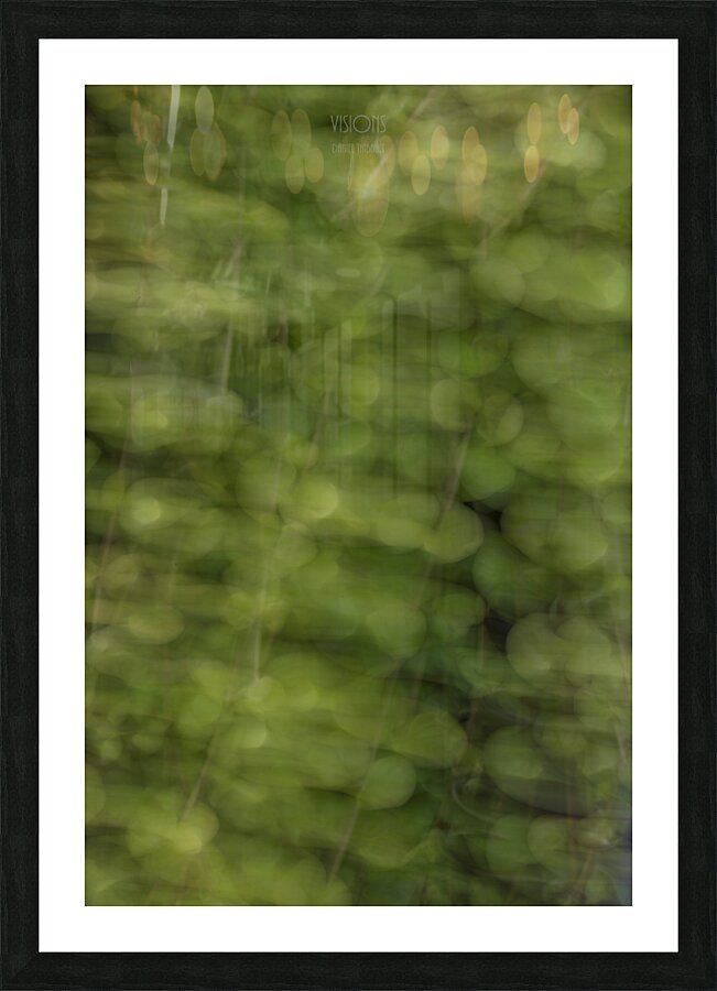 044A8977 Picture Frame print