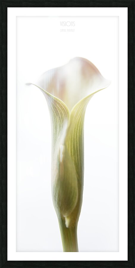 044A3544 Picture Frame print
