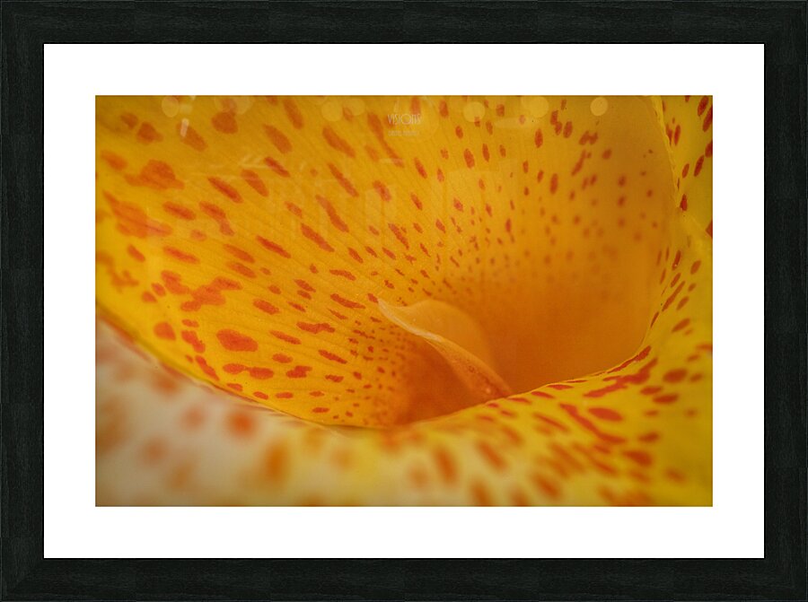 044A8884 Picture Frame print