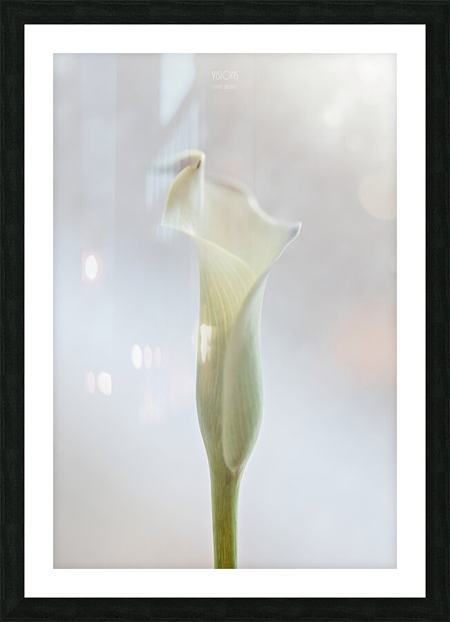 044A3552 Picture Frame print