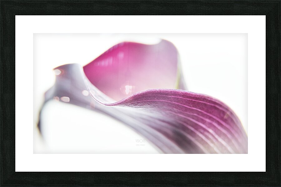 044A3514 Picture Frame print