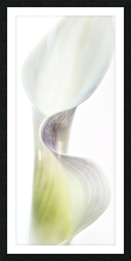 044A3508 Picture Frame print