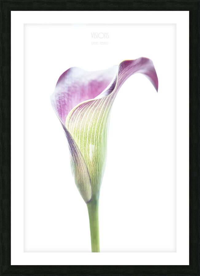 044A3480  Picture Frame print