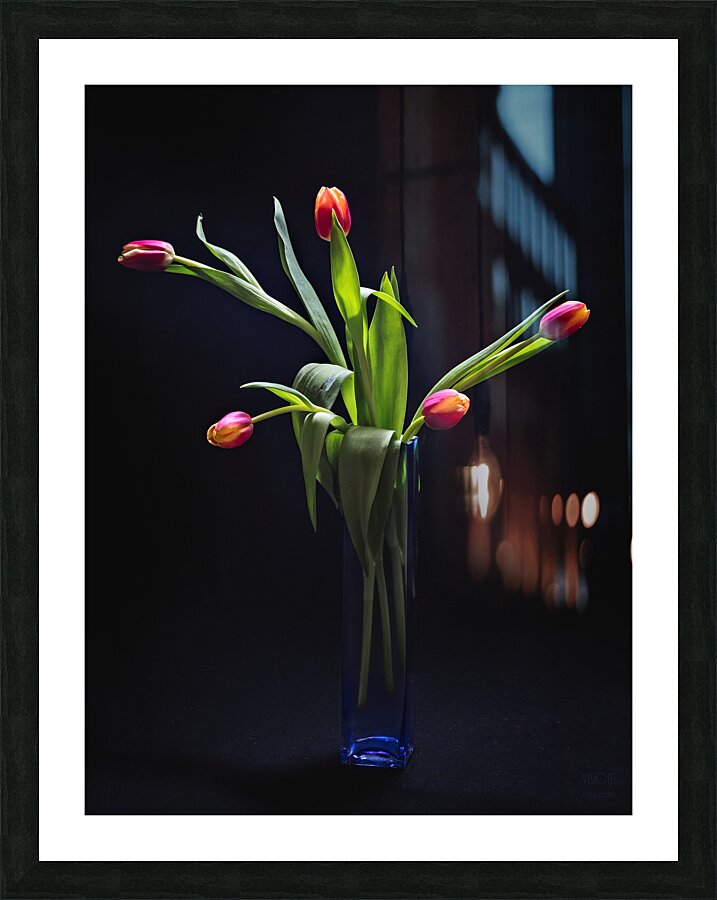 044A4824  Picture Frame print
