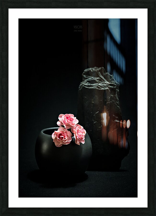 044A4907 Picture Frame print