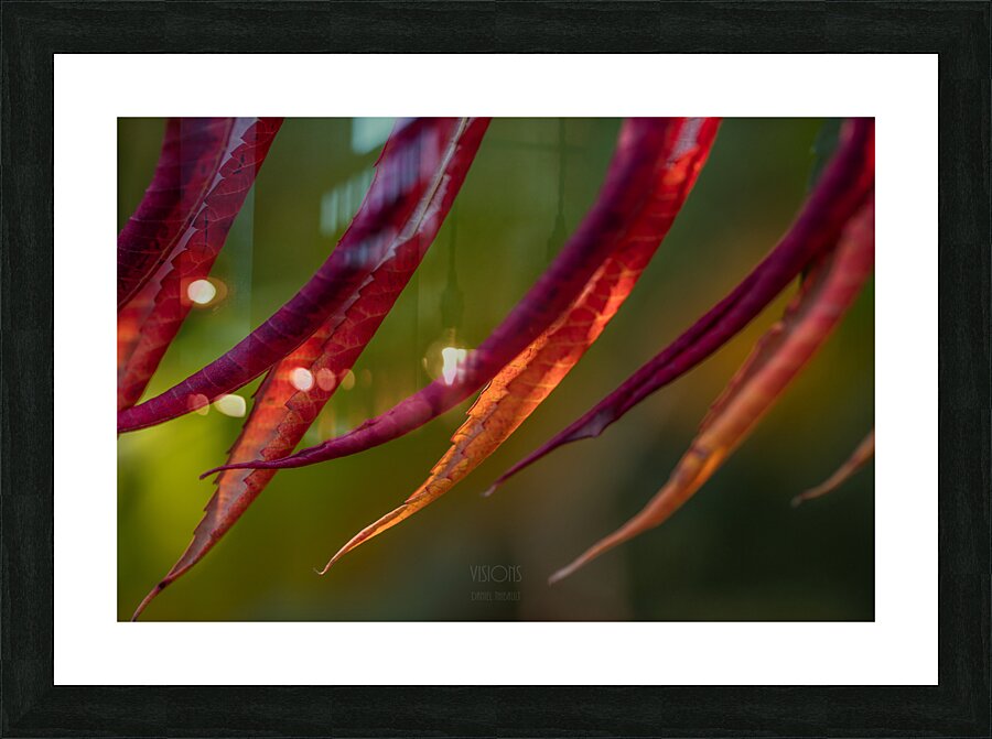 044A9394 Picture Frame print