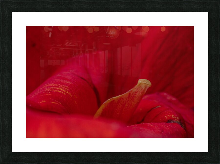 044A8887 Picture Frame print