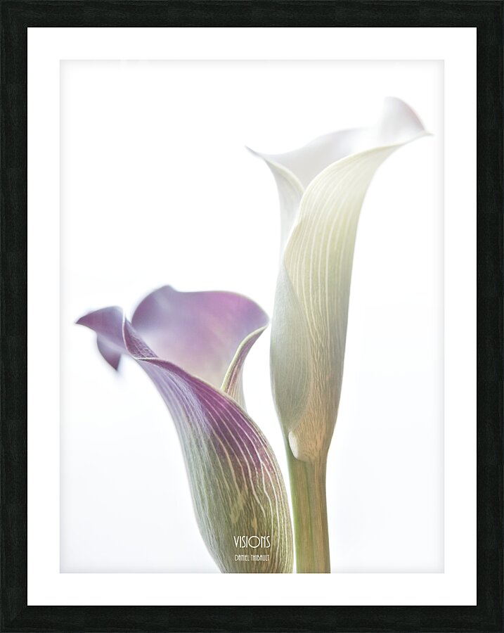044A3542 Picture Frame print