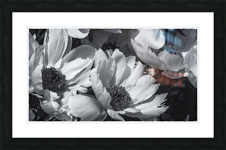 085A0531  Picture Frame print