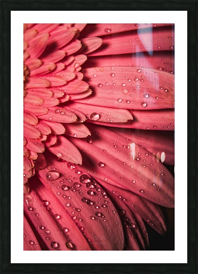 085A6785 Picture Frame print