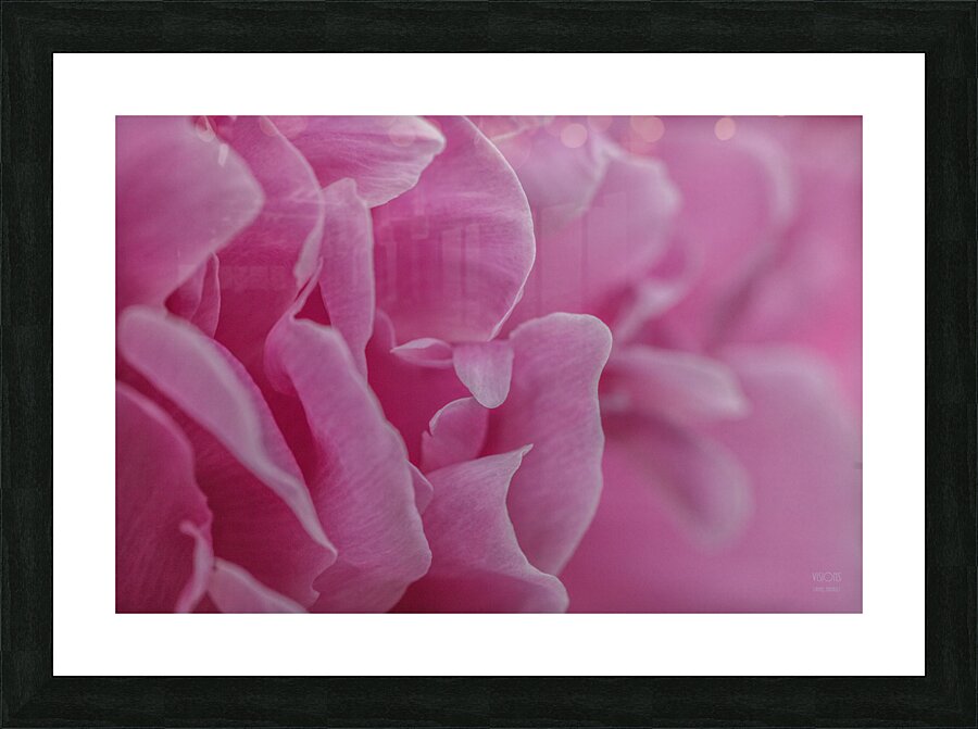 085A0562 Picture Frame print