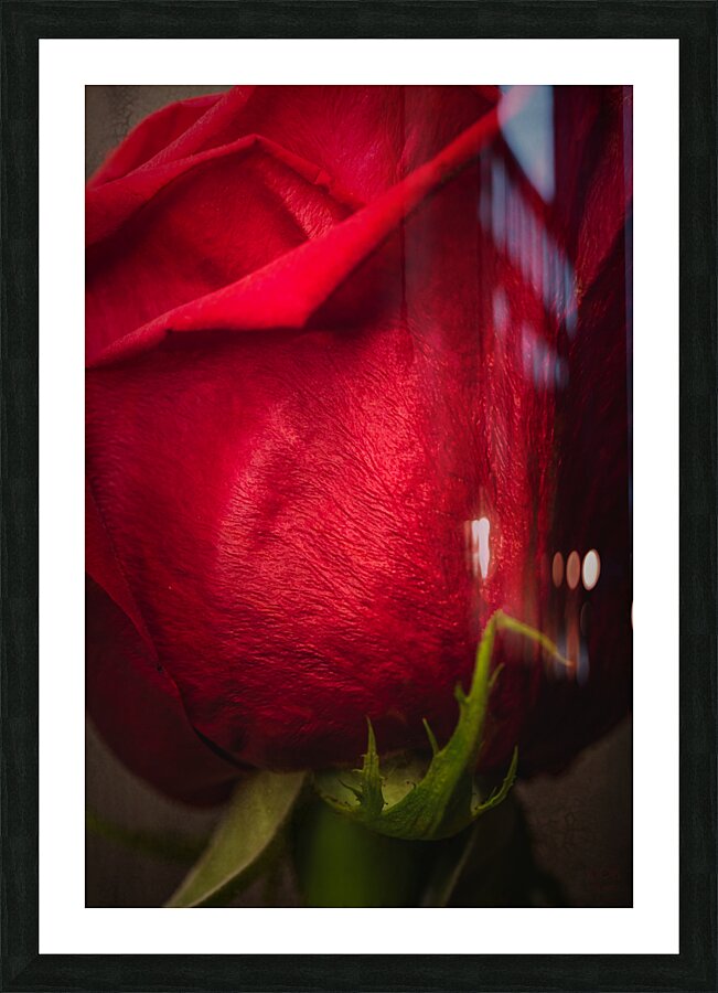 085A6432 Picture Frame print