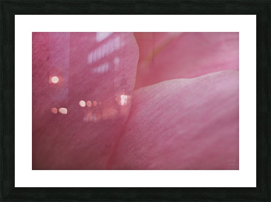 085A0649 Picture Frame print