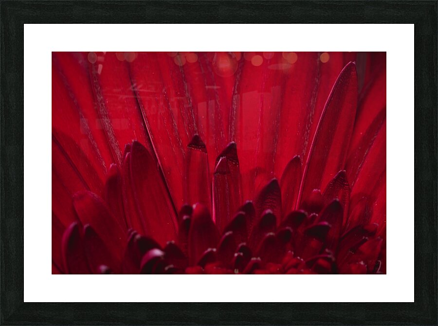 085A6372 Picture Frame print