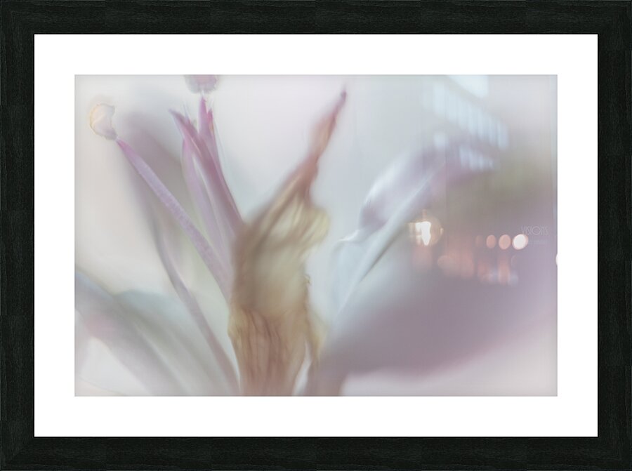 085A4753 Picture Frame print