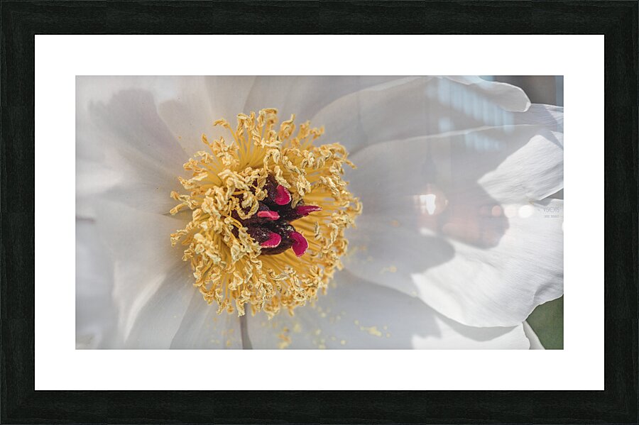 085A0543 Picture Frame print
