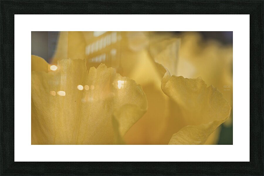 085A0594 Impression et Cadre photo